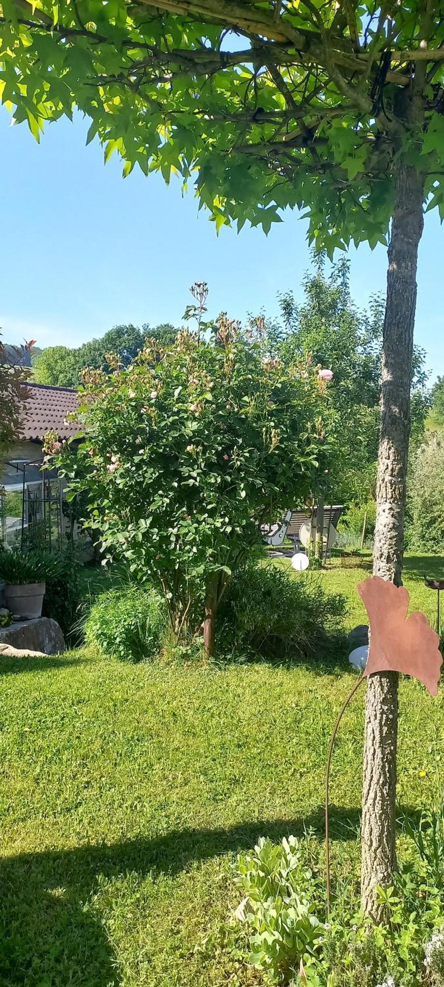 Ferienwohnung Rebgaertle Britzingen Dış mekan fotoğraf