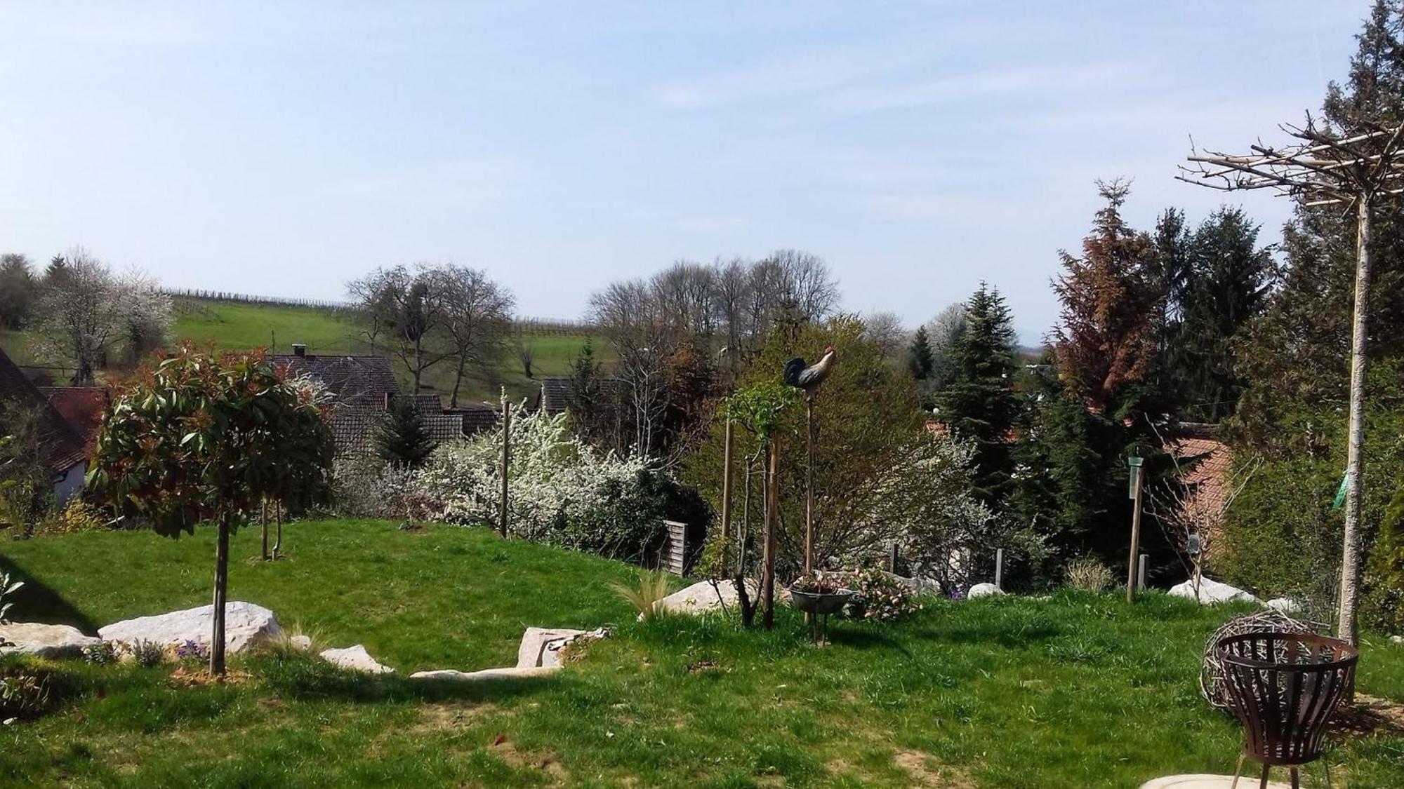 Ferienwohnung Rebgaertle Britzingen Dış mekan fotoğraf